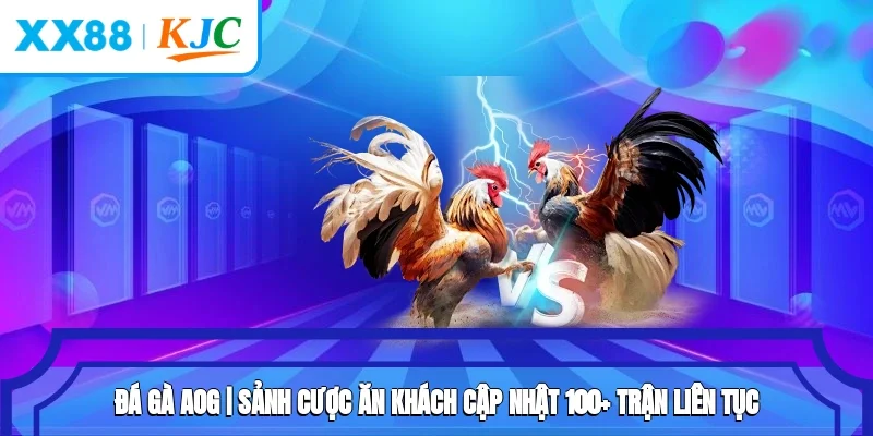 Đá Gà AOG | Sảnh Cược Ăn Khách Cập Nhật 100+ Trận Liên Tục