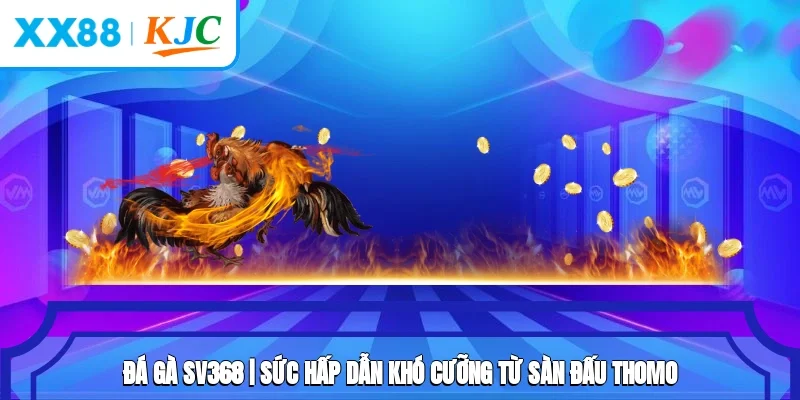 Đá Gà SV368 | Sức Hấp Dẫn Khó Cưỡng Từ Sàn Đấu Thomo
