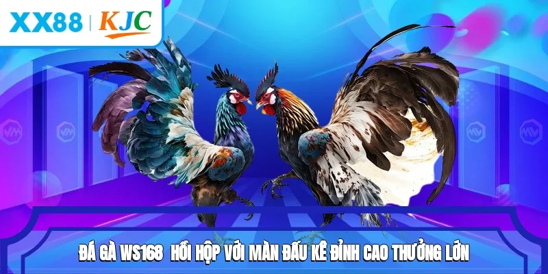 Đá Gà WS168 - Hồi Hộp Với Màn Đấu Kê Đỉnh Cao, Thưởng Lớn