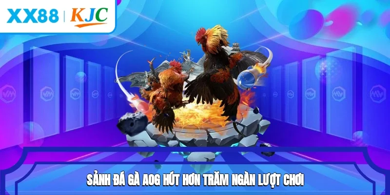Sảnh đá gà AOG hút hơn trăm ngàn lượt chơi