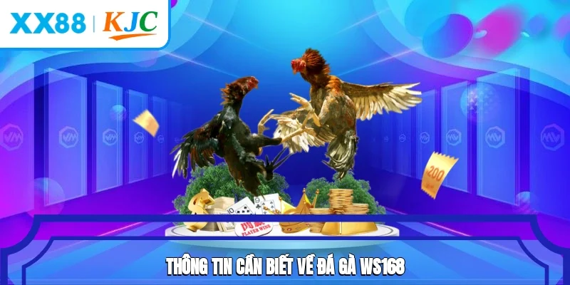 Thông tin cần biết về đá gà WS168